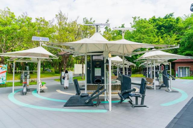 深圳秋色上线！这个公园，藏不住了......