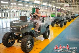 畅销海外的这些新能源车，海口造！图片