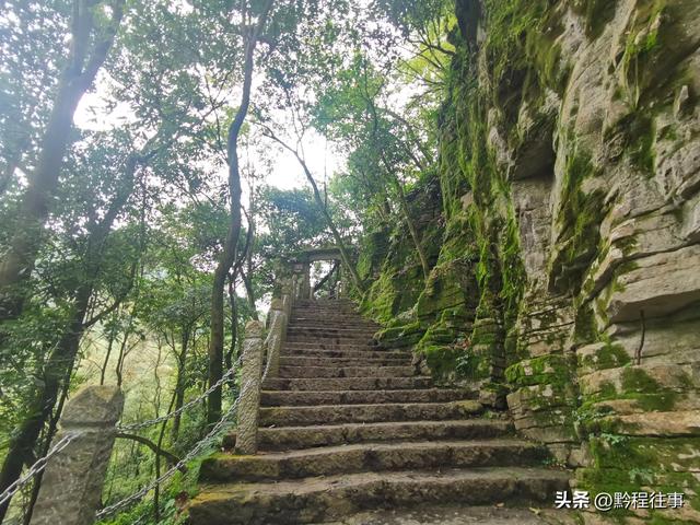 寻找一片僧人墓地，佛门高僧竟然最后落得尸骸无存