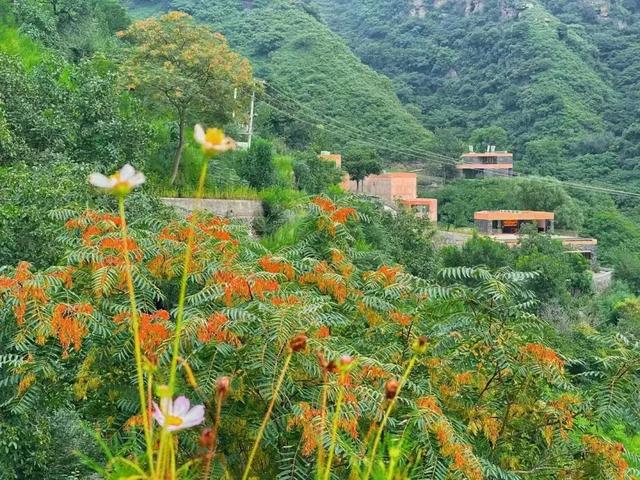 如果夏天有颜色，那么房山是_______