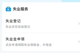 失业金申领有新规！证明材料必须包含这个关键表述！图片