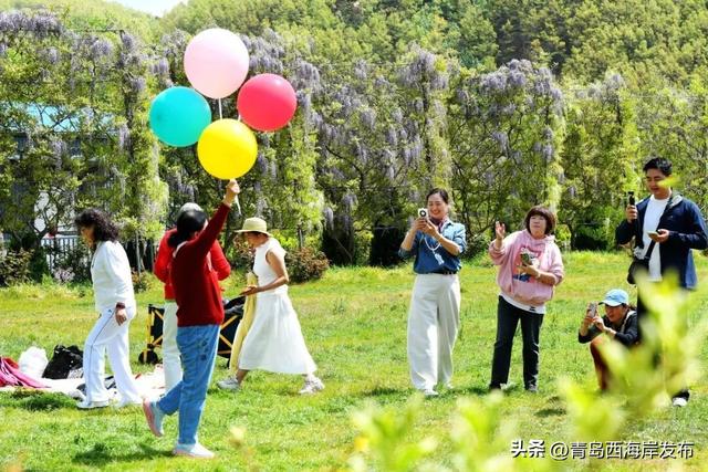 杜鹃花免费送！来西海岸赏花海、看演出！