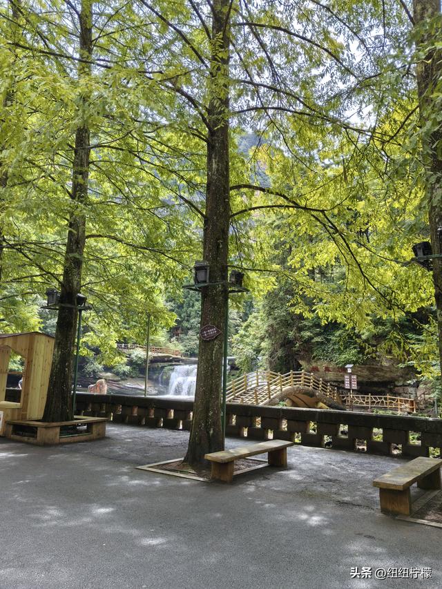 在江津四面山景区看了瀑布爬了梯，又坐了超级滑道听了潺潺流水声