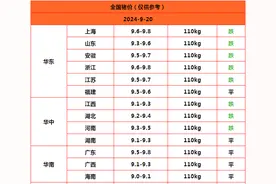 增量出栏！2024.9.20明日猪价，猪价持续下跌图片