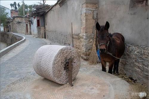 邯郸涉县冬至奇俗，牲口也过生日，给牲口放天假，做一顿好吃的