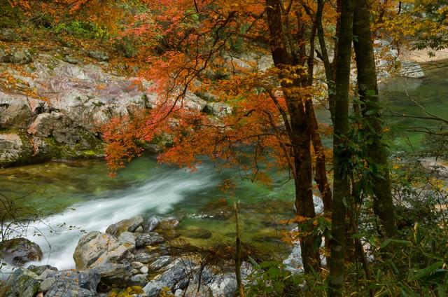 沿这5条高铁路线旅游红叶美极了，沿途解锁国内绝美秋色