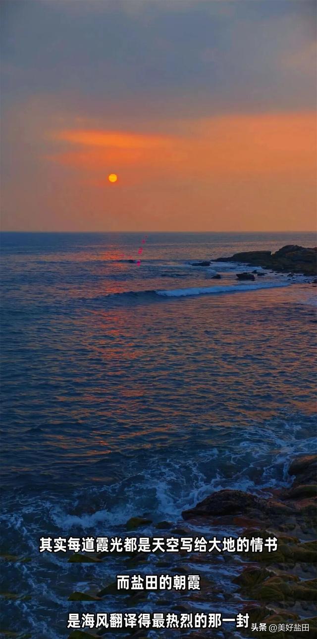 阿霞，2026年的第一天，我要对你表白！