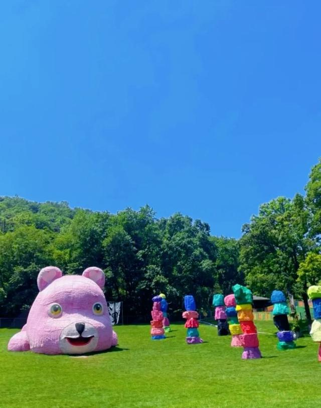 华东超大 “天然氧吧” 免费开放！南京这个森林公园藏不住了