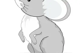 在煤矿井下，一窝老鼠救了我们整个班组的命图片