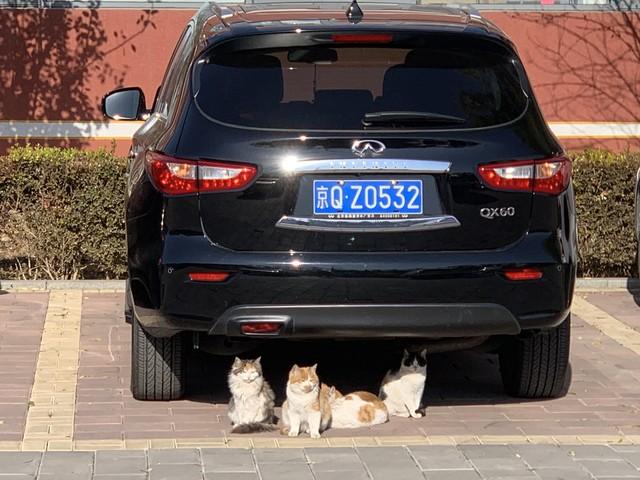 不出意外的话，今年五一，可能会出现5大“现象”，太真实了