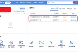 新版电子税务局税收申报方法图片
