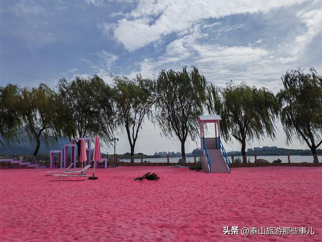 泰安：西南藏着一个粉色沙滩，占地5000平，一个情侣喜爱的打卡地