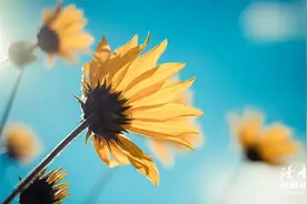 世界上最大的谎言，很多人都说过！（必看好文）图片