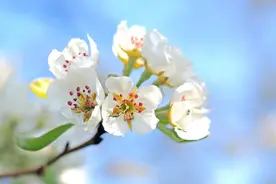 一个女人，不删除你，不拉黑你，也不联系你，明显是这个意思图片