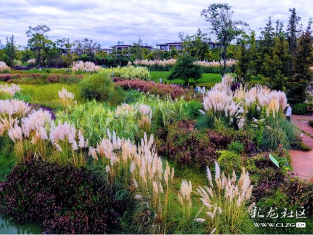 草海隧道湿地公园