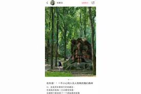 这座“魔幻森林”你去过吗？就在武汉这里图片