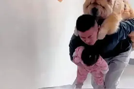 GIF搞笑图片，内涵幽默动态趣图，让你笑个不停图片