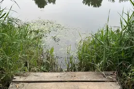 夜钓选上半夜还是下半夜？实战教育了我，下半夜同样能爆护图片