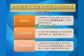 辽宁省灵活就业一年缴费10255.2元，20年后退休，养老金是多少？图片