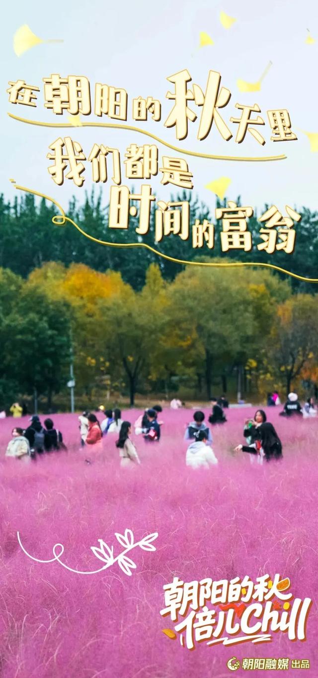 来北京朝阳，开启最chill的秋日漫游——