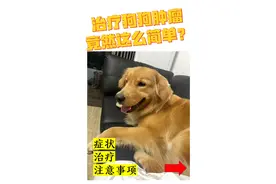 狗狗肿瘤竟然这么简单？图片