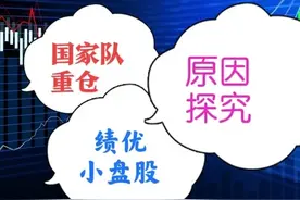 国家队重仓的这几只绩优小盘股有玄机，大多数人大涨之后才看懂！图片