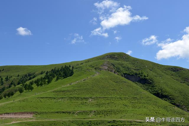 河北麻田岭（上）：绿野铺毡接云影、风轮伴路探山魂