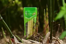 良品铺子：18年坚守品质，14个原料基地，助农与公益同行图片