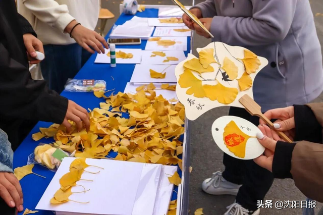 沈阳南部高校藏着不一样的秋日浪漫！不只赏银杏，还有～