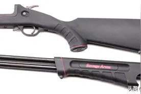 物美价廉的六款最佳生存步枪图片