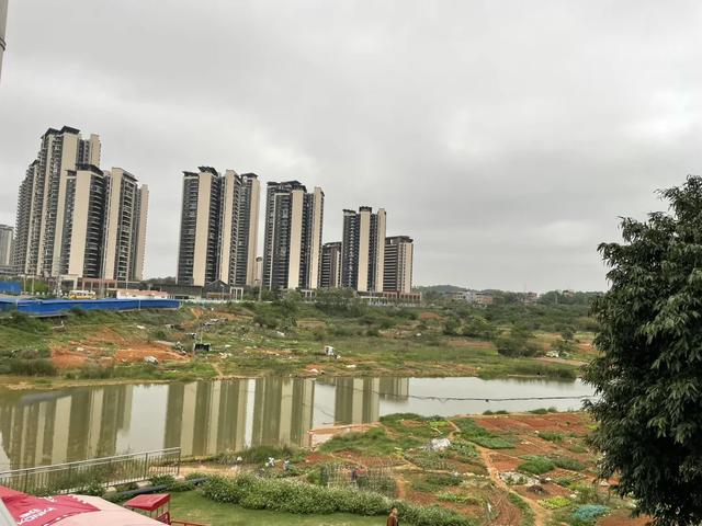 五象湖「最强景观」火了,公告成了废纸