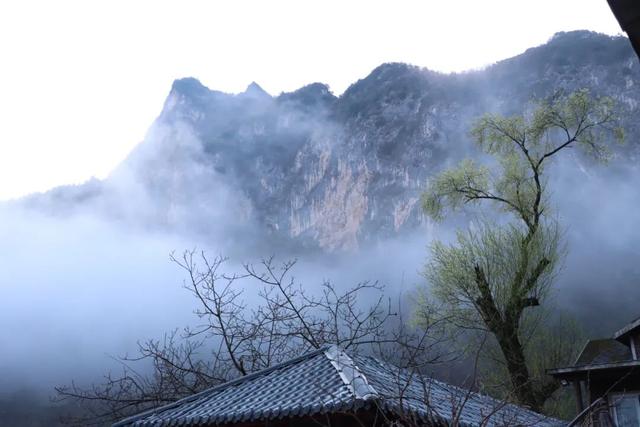 在两当，春天就要Color Walk→