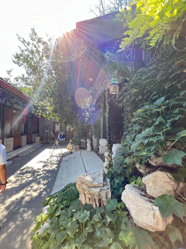不敢想，要是住在这套院子，我会有多开朗