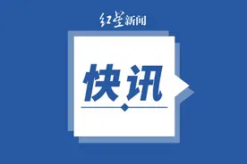 4:0横扫对手！樊振东闯入乒乓球男子单打决赛图片