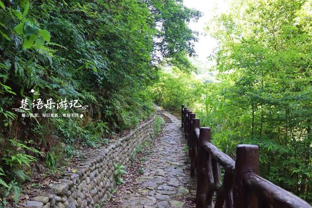 浙江绍兴发现一个森林公园，3条古道犹如绿野仙踪，成为徒步胜地
