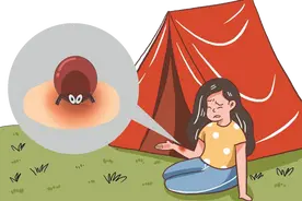 已到蜱虫活跃期，请收下这份防蜱攻略！图片