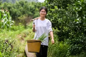 抖音已处置26个仿冒“扁担女孩”账号，本人曾发声：不需要任何资助，没有新媒体账号，上大学前都不会注册图片