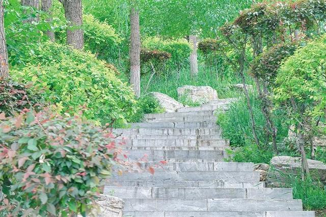 呼和浩特：正是盛夏悦目时