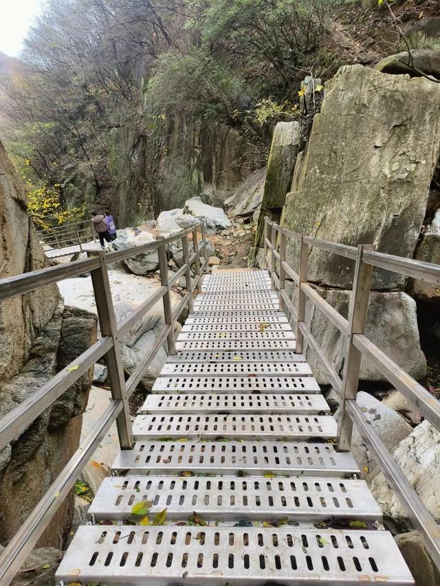 泌阳九龙瀑与池杉林：山水相依的夏日胜景