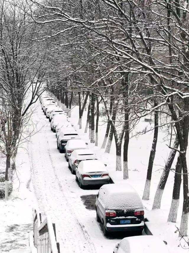 明天起，穿衣请调整一下！