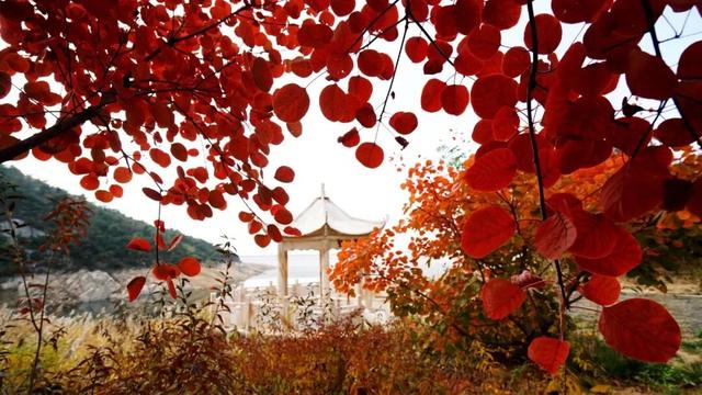 在山东这座小城，我亲手淘到了闪闪的金子！