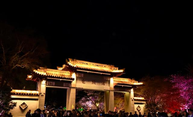 挤疯了！无锡鼋头渚夜樱 “炸街”，这场面给老外看都能吓一跳