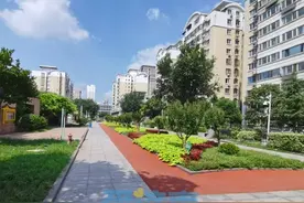 解锁绿色“新空间”，看济南天桥区如何打造“共建花园”图片