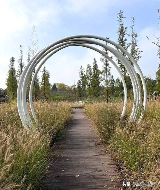 成都被冷落的彩林公园，惊艳无比，不要门票，地铁公交车直达！