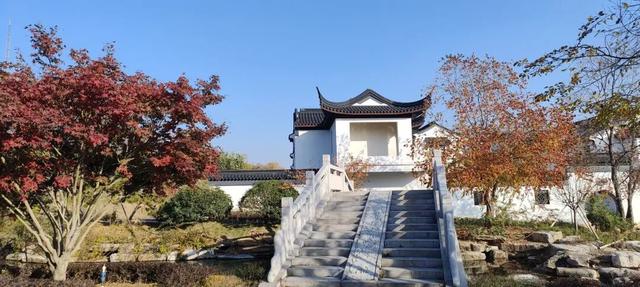 寻美薛城丨谁还没去？薛城小江南留园山庄这片初冬美景秘境藏不住了，速来打卡！
