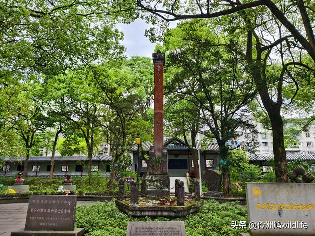 成都古镇（15）郫县唐昌古镇崇宁公园·大椿巷