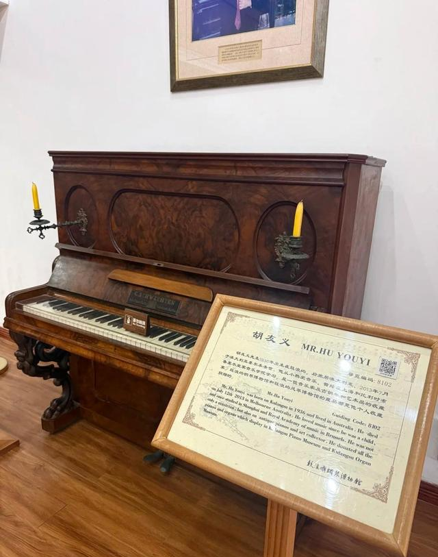 厦门这个公园火了，游人竟欣然买单，只因一园一海一岛屿太美了