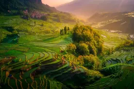 太可怕…73岁老妇被熊啃！事发著名冰川公园！旅程全毁了...图片