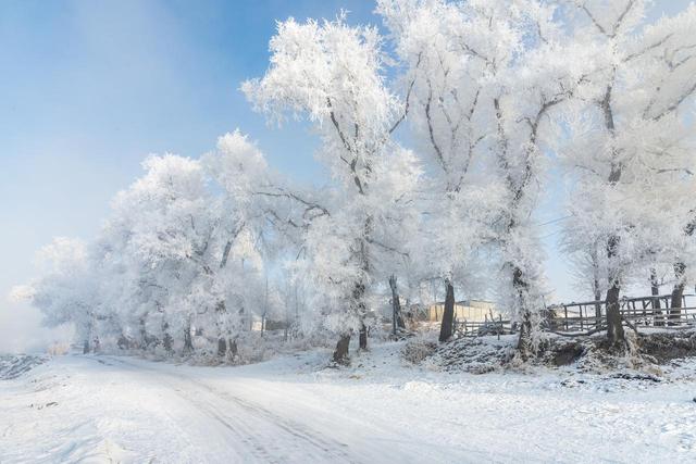 哈尔滨没想到，长春没想到，现在吉林怎么突然这么火出圈了！