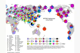 世界各人种基因分布及基因图谱图片